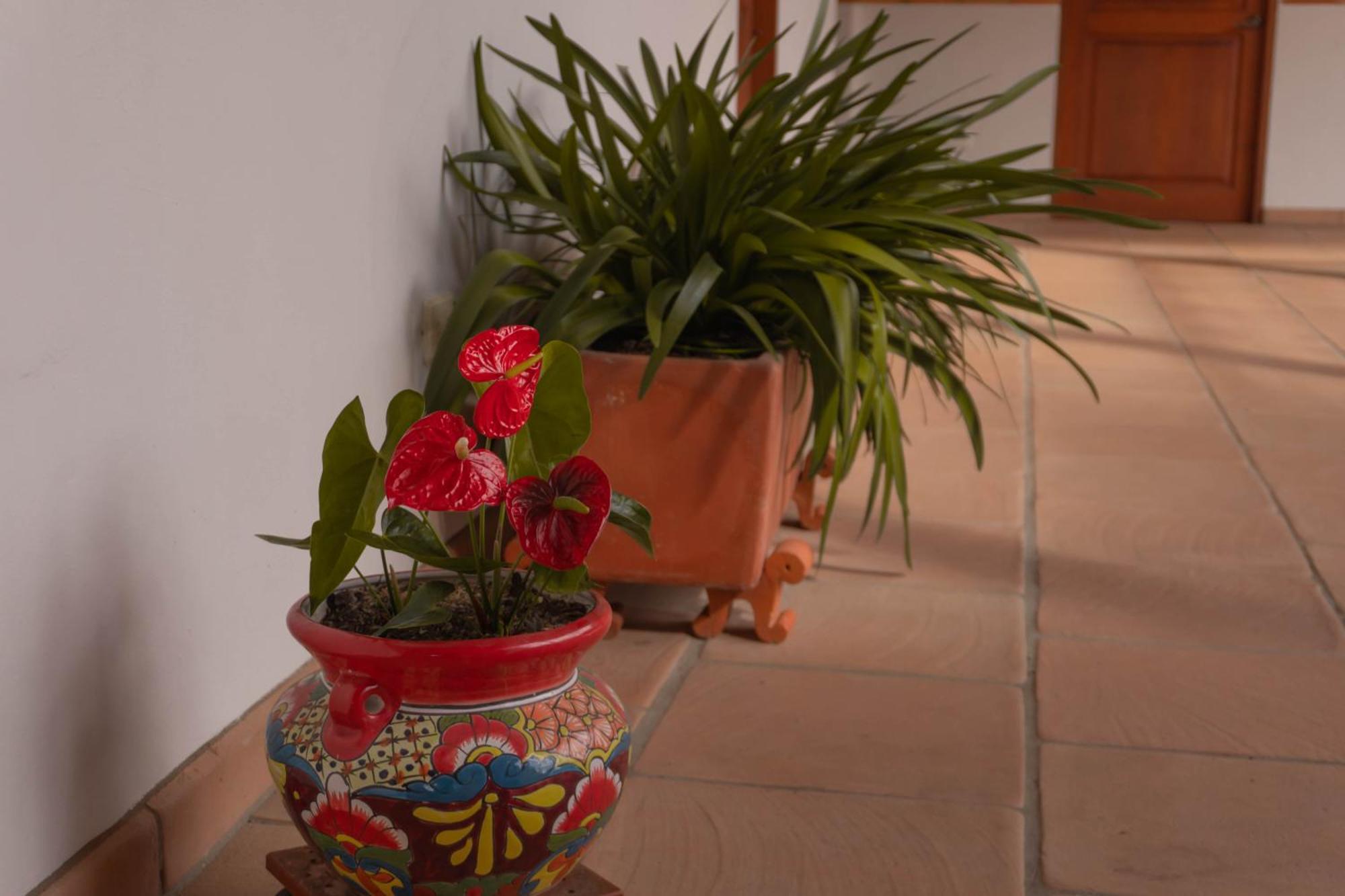 Maria Bonita Hotel Villa de Leyva Dış mekan fotoğraf